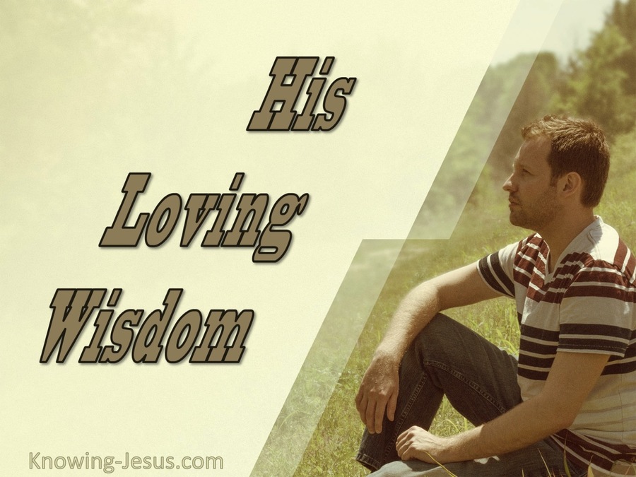 His Loving Wisdom (devotional)02-10 (sage)